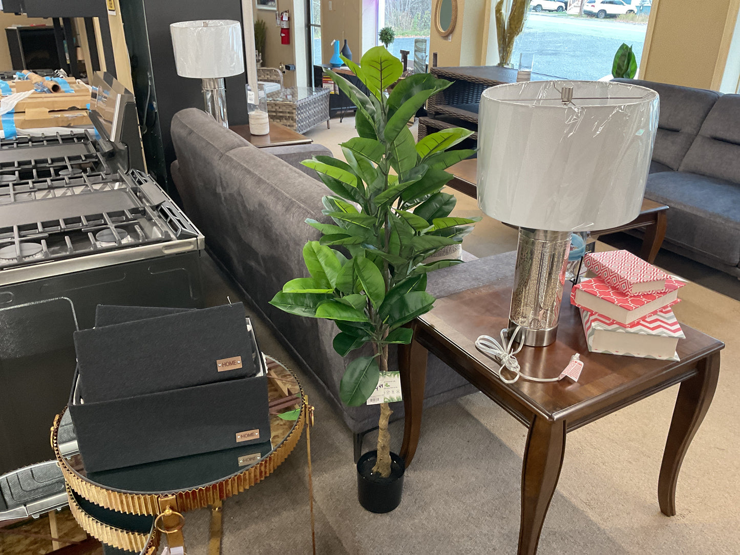 52" PLANTE CAOUTCHOU - 0473