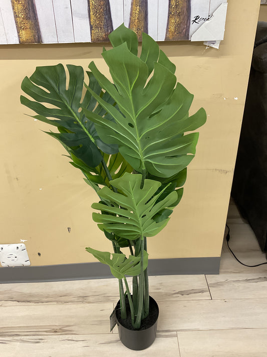 PLANTES ARTIFICIELLES MONSTÈRE 45''-I9510