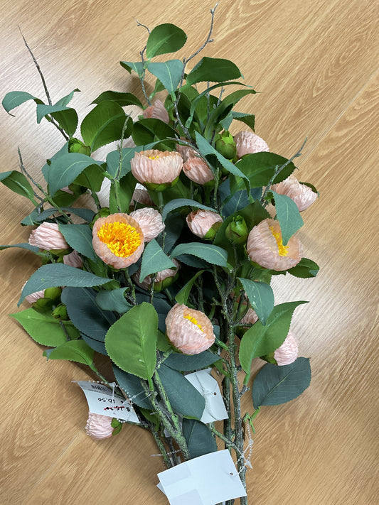 Poeny Peach - Decoration