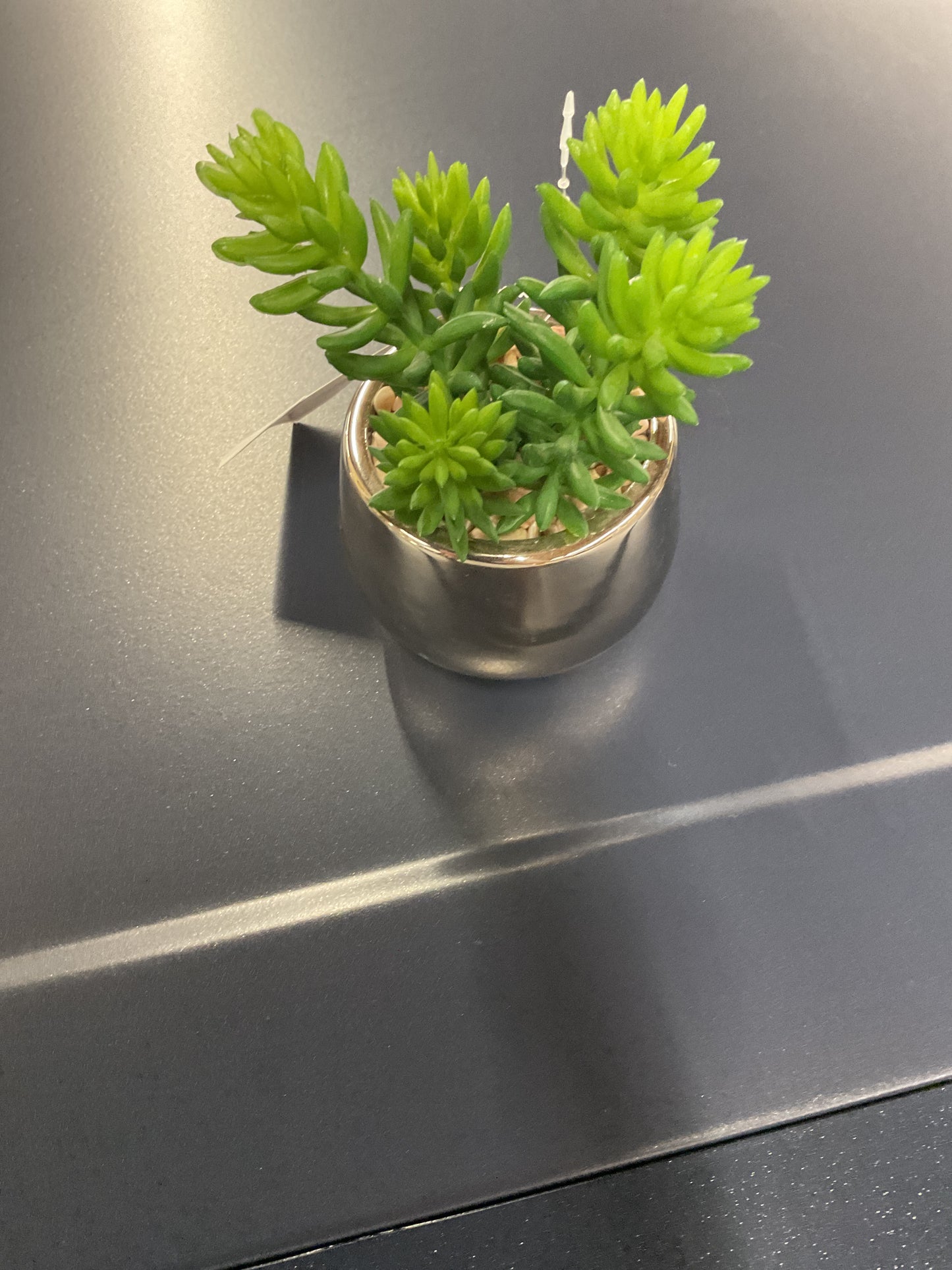 Fake Plant - Decoration
