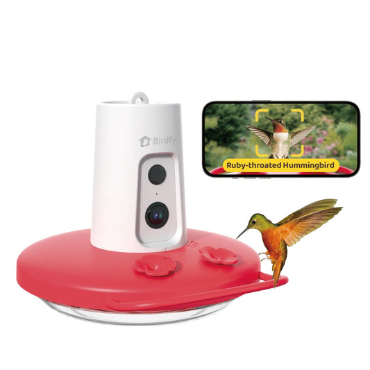Birdfy Hummingbird Feeder Mini AI Smart Mini Feeder with 1080P Camera