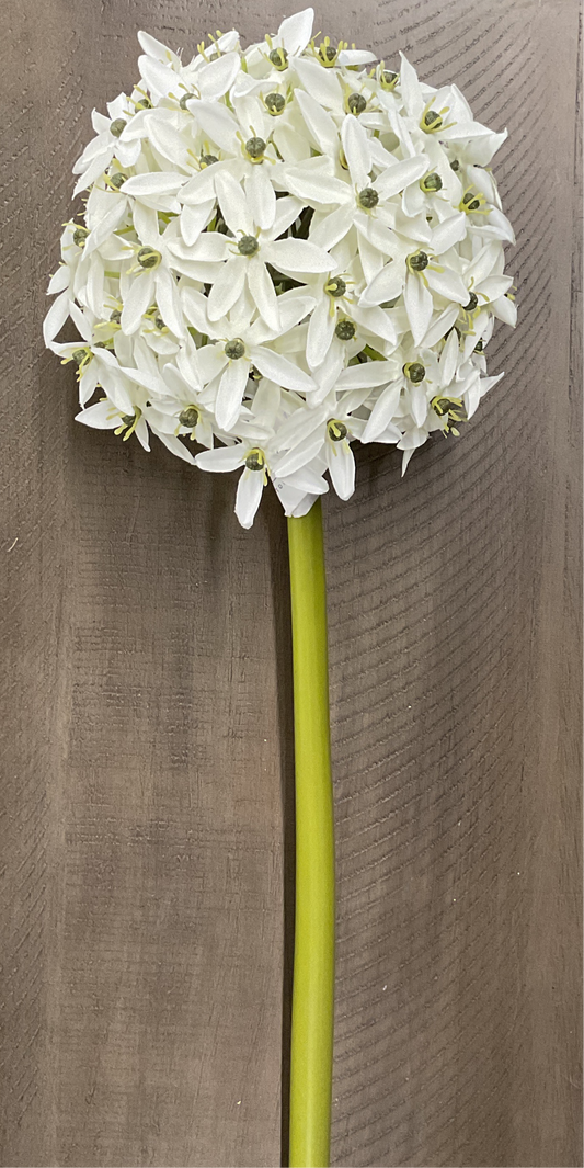 FLEUR BLANCHE