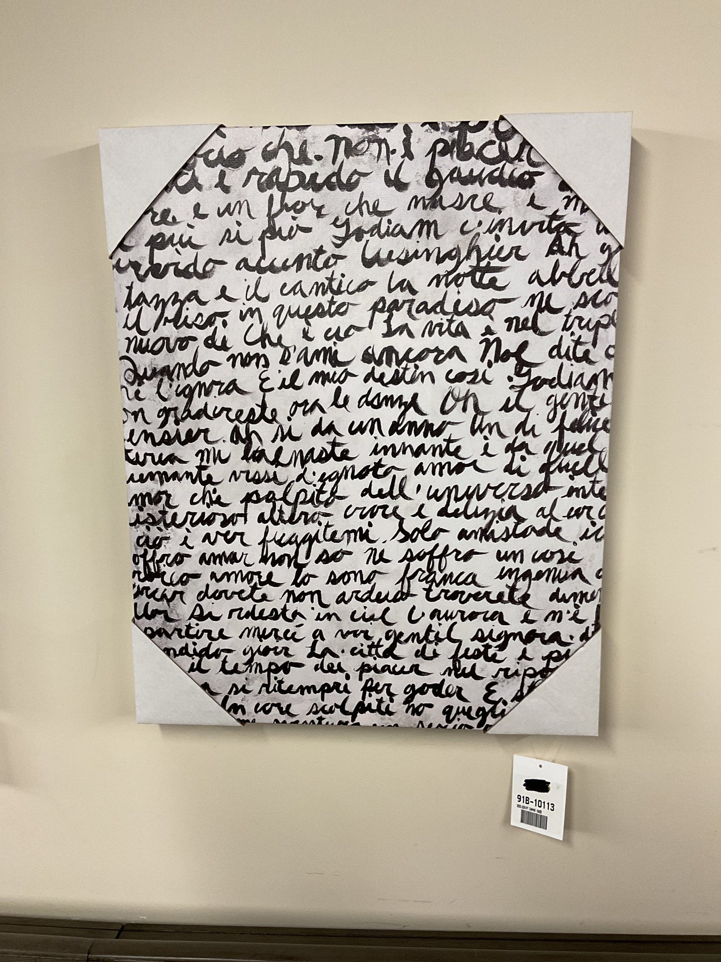 SCRIPT TOILE 16X20 -M000113-LEO