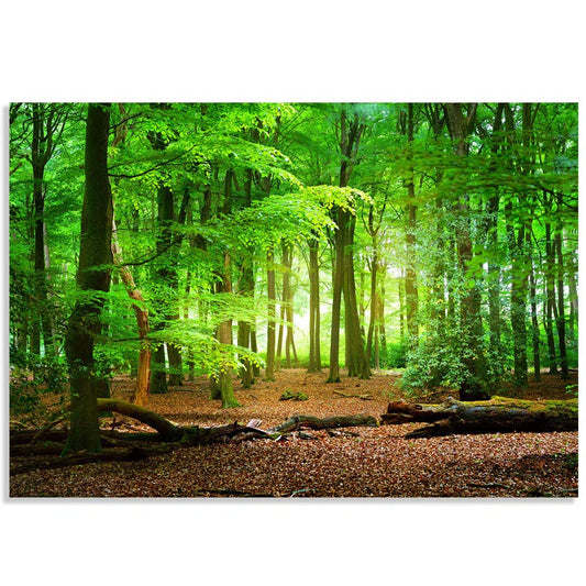 Vibrant Green Forest Tree Leaf Scenery Paintable Wall Mural